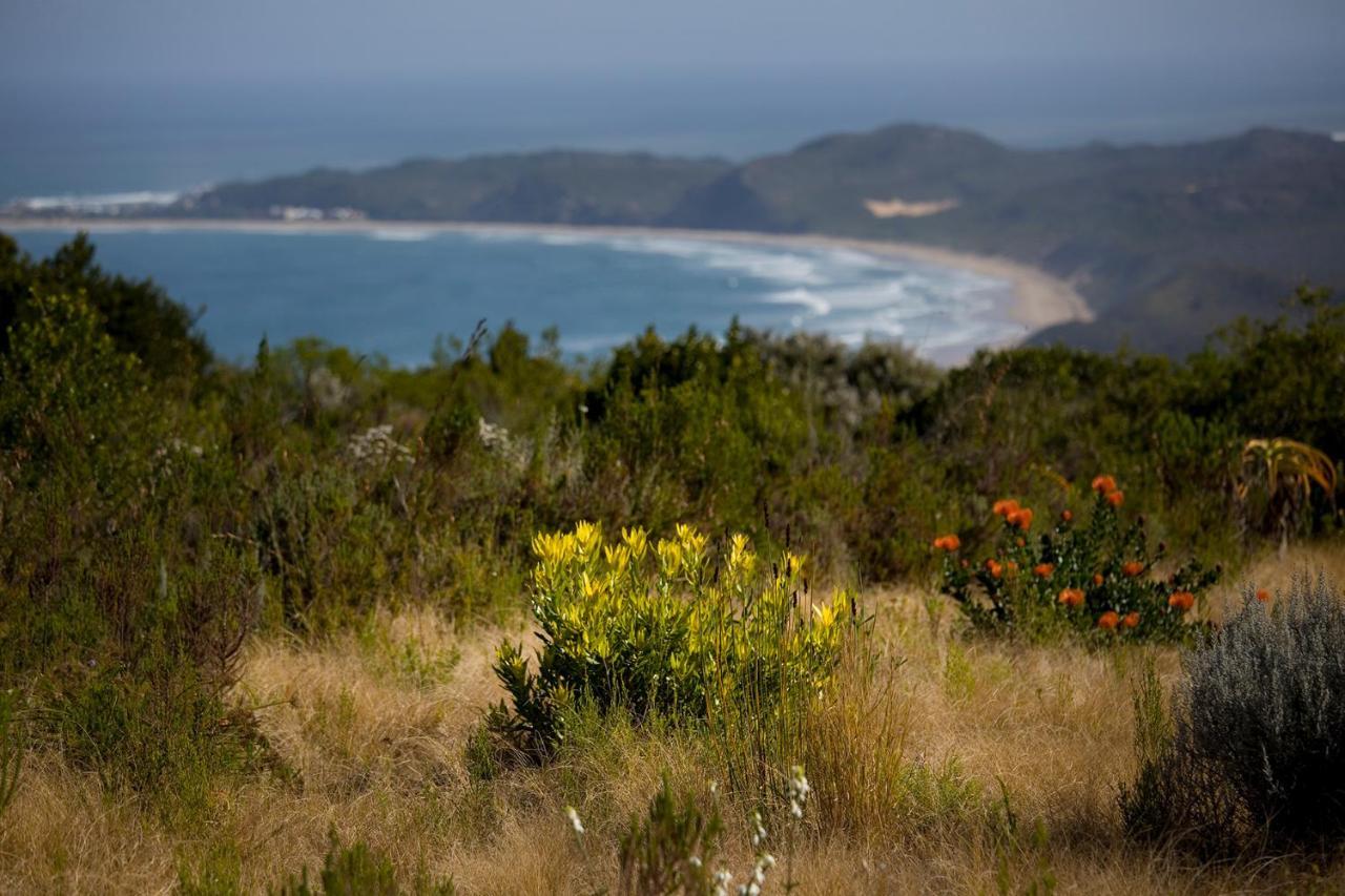 Alkira Lodge Brenton-on-Sea Exterior foto